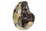 Septarian Dragon Egg Geode - Sparkly Black Crystals #329487-1